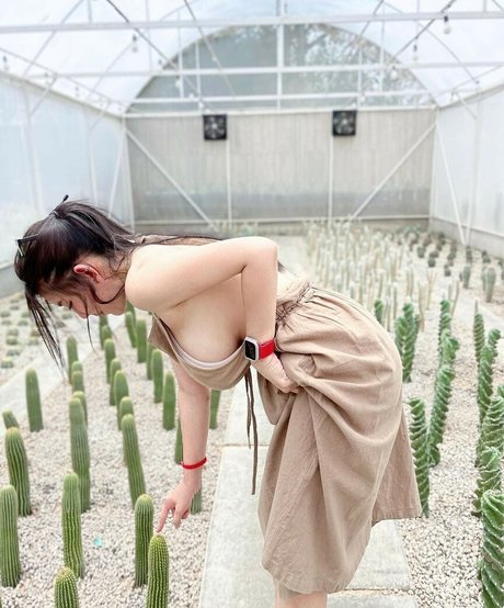 Niparat Konyai star du porno galeries