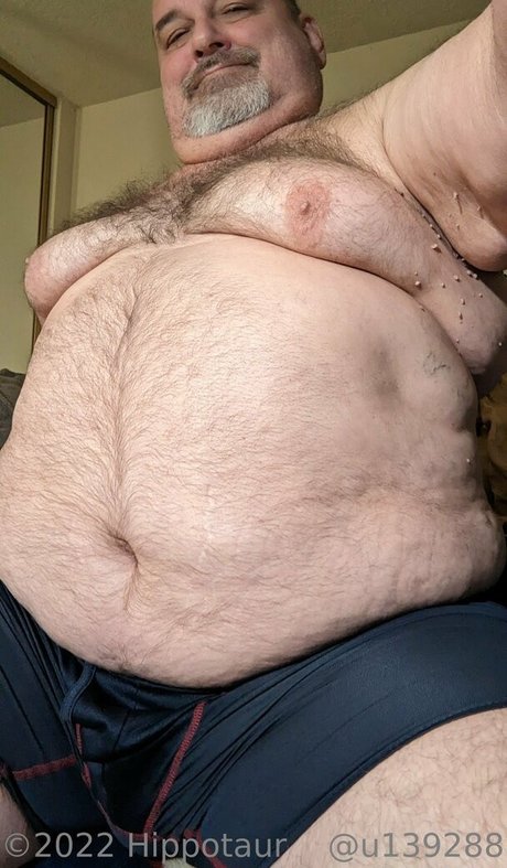 hippotaur modèle galeries