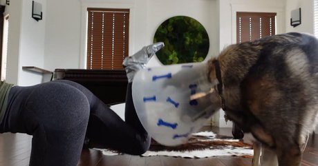 KallMeKris star du porno parfaite img