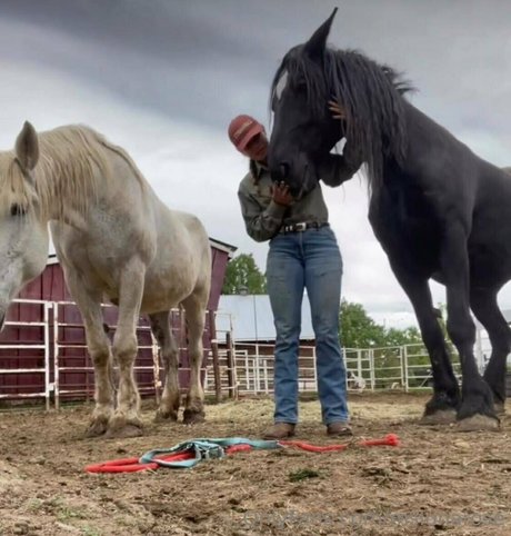 Mslunarose actrice xxx img