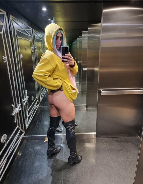 Hungbratz modèle artistique galeries