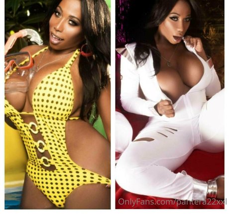 pantera22xxl star du porno collection