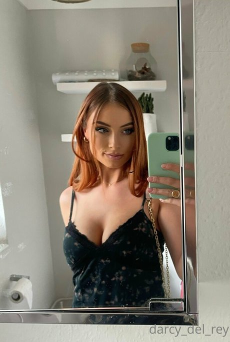 darcy del rey étoile de l'art galerie