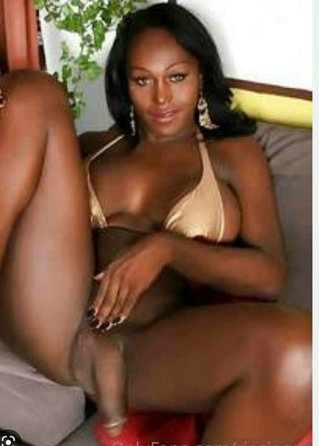 riosjaque modèle galeries