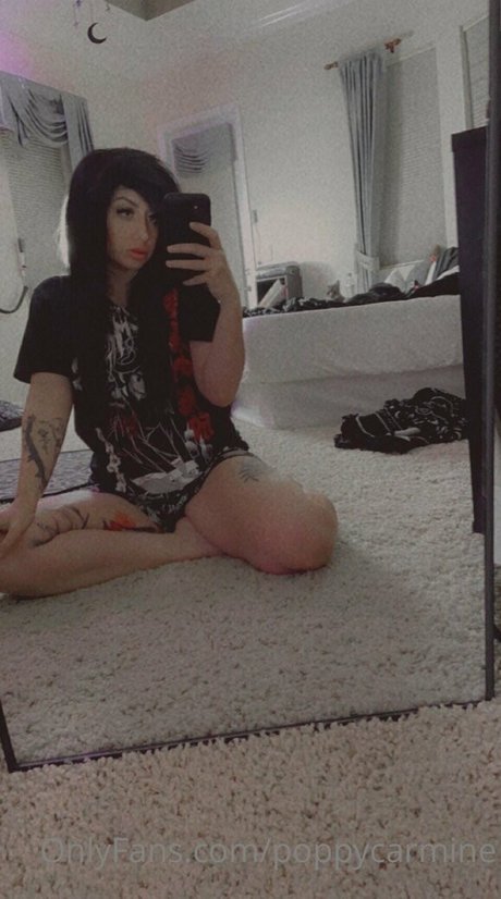 poppycarmine étoile magnifique photos