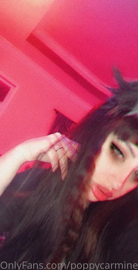 poppycarmine star du porno collection
