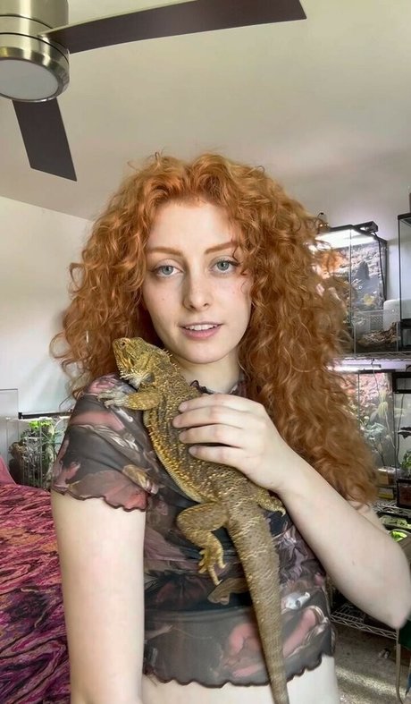 Octavia Marlowe belle star du porno archive