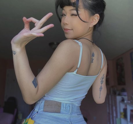 Wasabiicat étoile adulte images