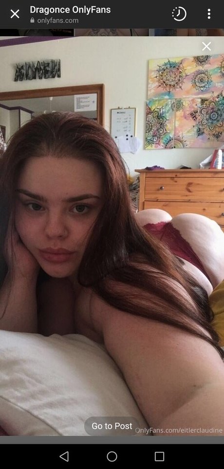 Dragonce étoile parfaite collection