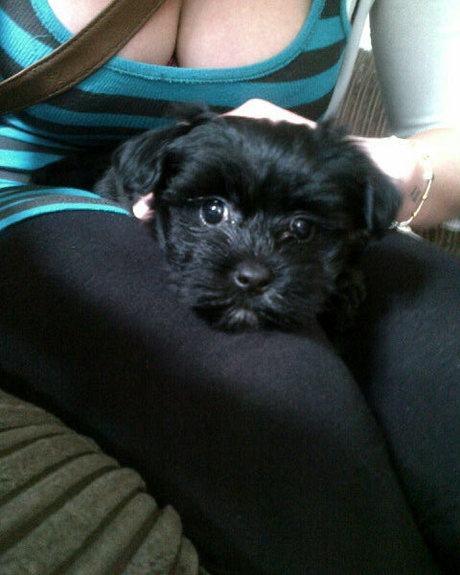 Katy Yardley star du porno xxx archive