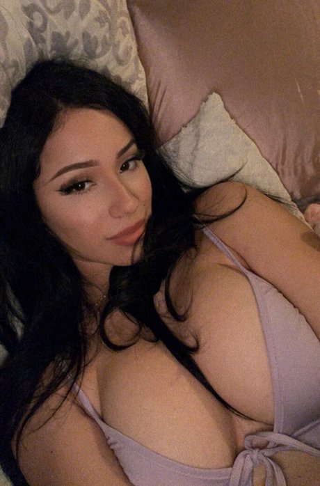 chaton courbé onlyfans xxx magnifique collection