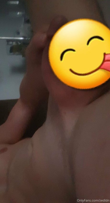 zedldn étoile exclusive galeries