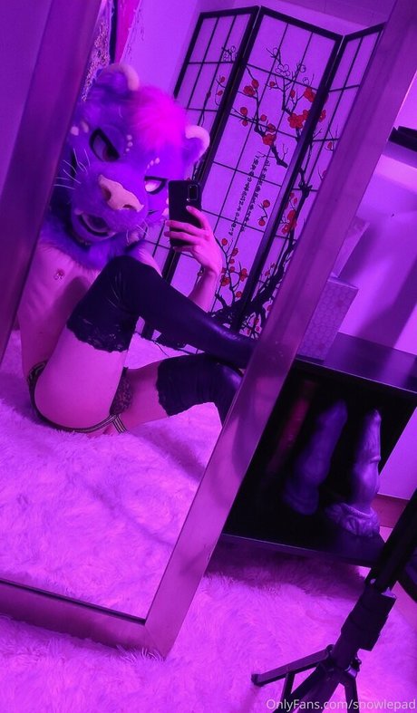 snowlepad star du porno adulte photo