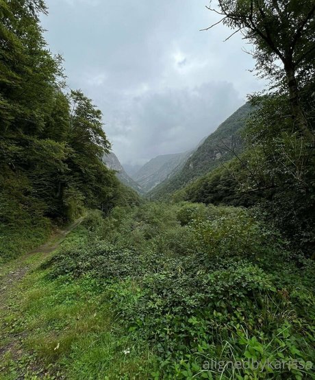 alignedbykarissa meilleur modèle des photos