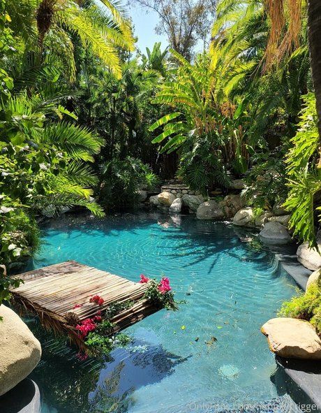 happiertrigger actrice adulte collection