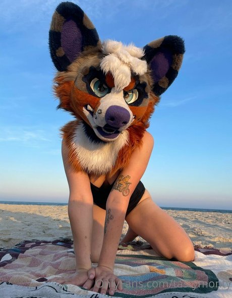 tastymonty star du sexe galerie