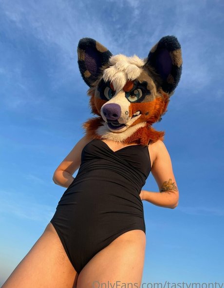 tastymonty nus de stars du porno des photos