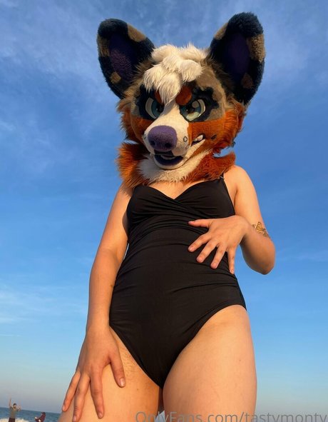 tastymonty étoile nue collection