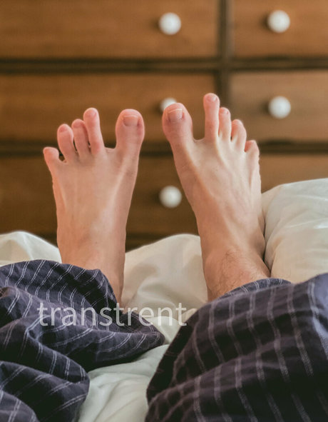 transtrentfree haut modèle galerie