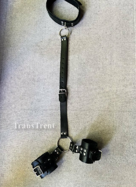 transtrentfree actrice adulte img