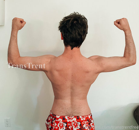 transtrentfree étoile galeries