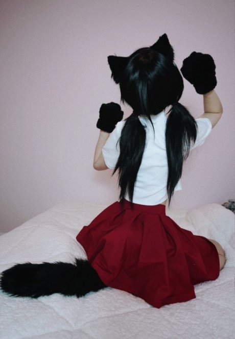 Faerver nus étoiles collection