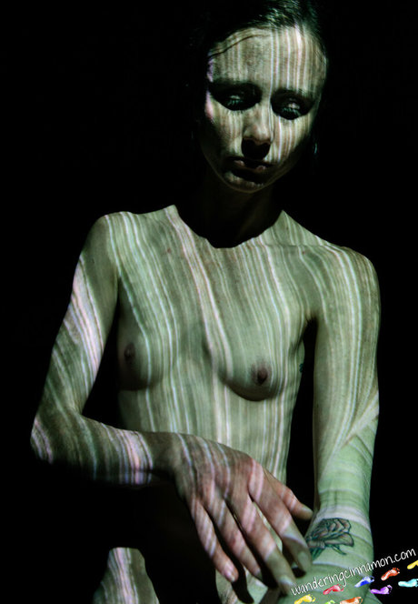 wanderingcinnamon2 nus étoiles photos