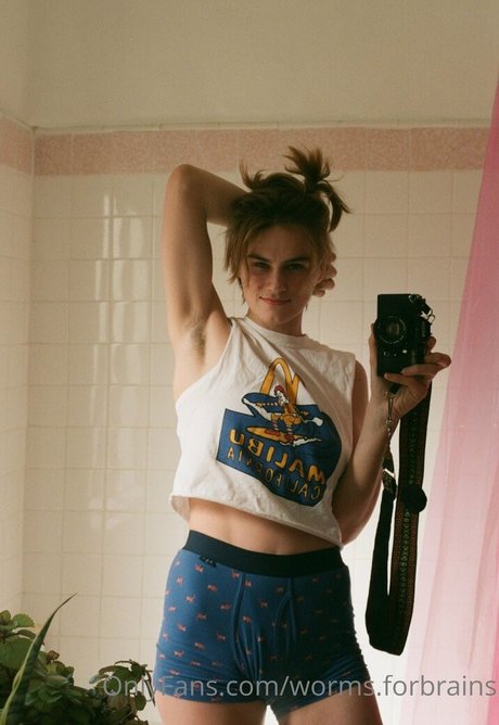 worms forbrains meilleur modèle images