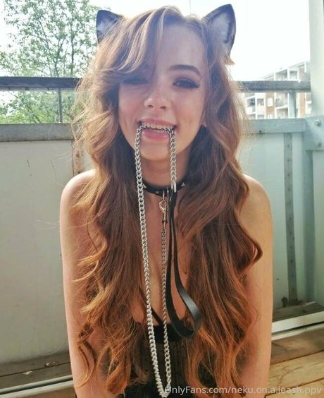 neku on a leash ppv nus étoiles photo