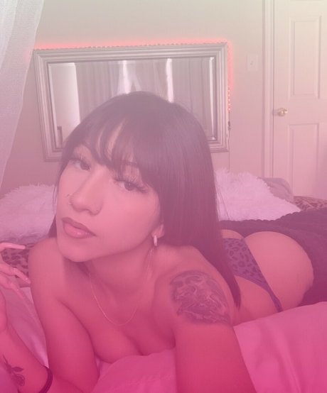 Stardustsvm star du porno chaud photo