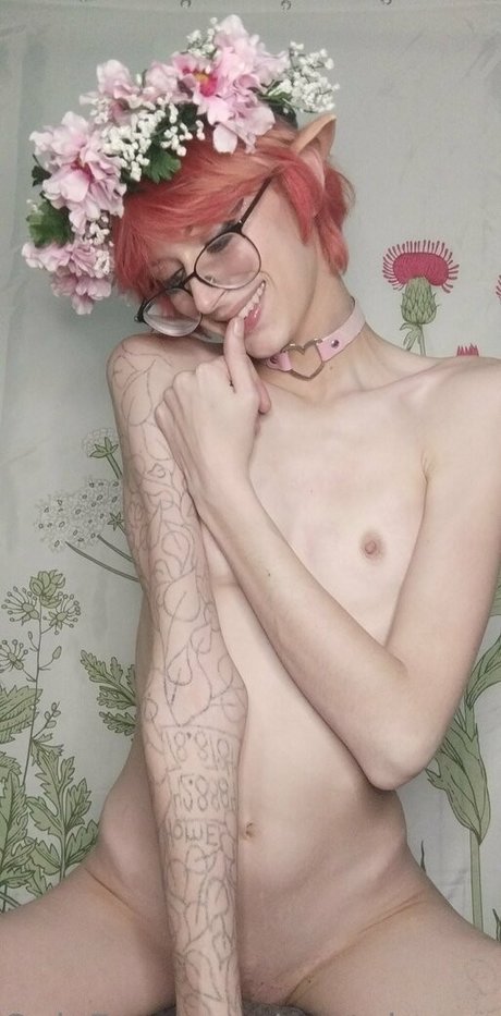 cantaloupexo art star du porno images