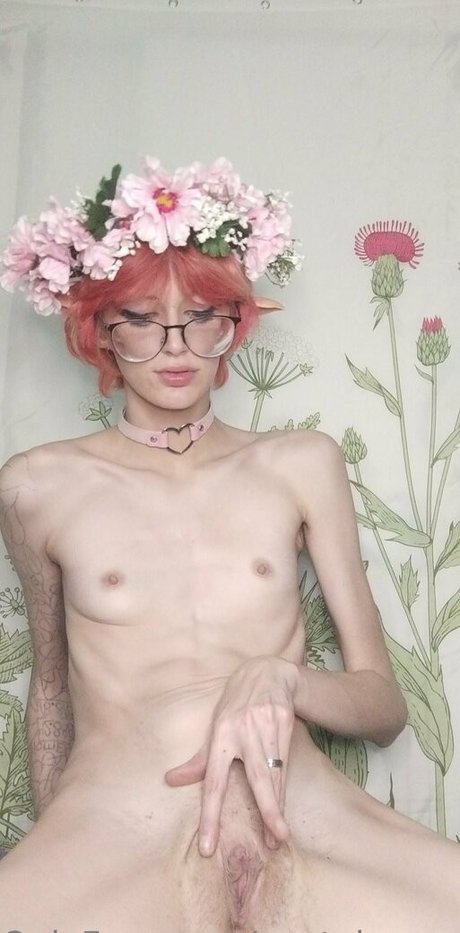 cantaloupexo sexe star du porno collection