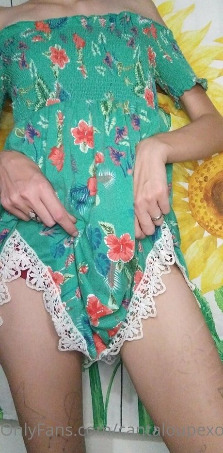 cantaloupexo actrice pornographique archive