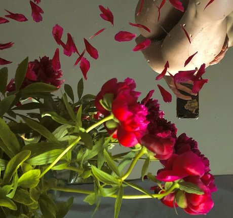 lilbiii jolie étoile galeries