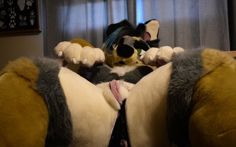 crownmutt star du porno chaude galeries