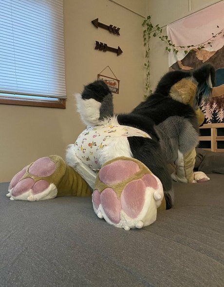 crownmutt nus star du porno archive