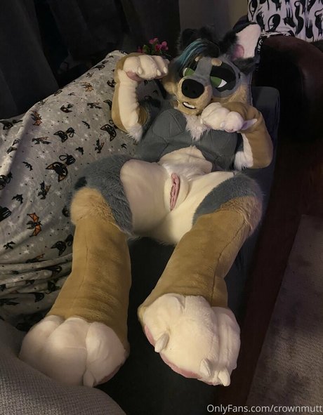 crownmutt étoile gratuite images