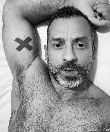 vinbarracafree modèle gratuit images