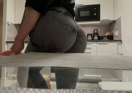 camillarasane haut modèle archive