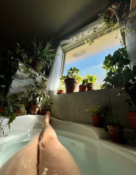 niceplanties étoile sexy des photos