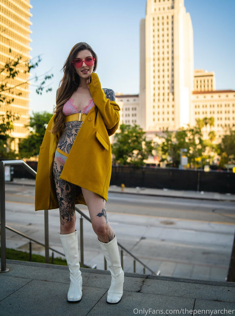 thepennyarcher haut de star du porno image