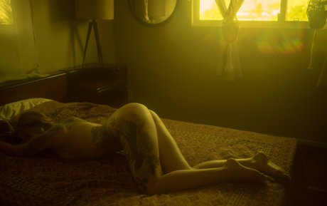 thepennyarcher étoile de l'art images