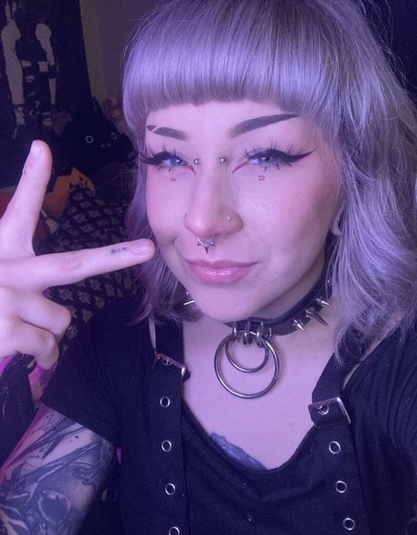 vexcherry star du porno parfaite collection