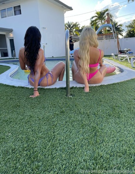 stellaexclusive star exclusive galerie