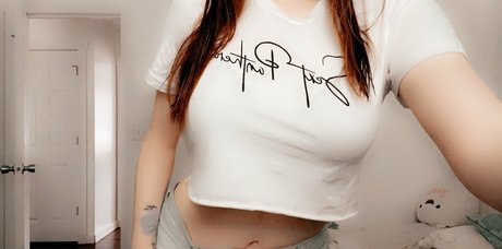 skyestone9 modèle gratuit img