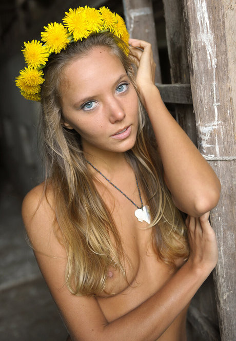 artofdanworld actrice érotique images