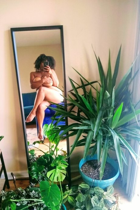 randiraige modèle parfait collection