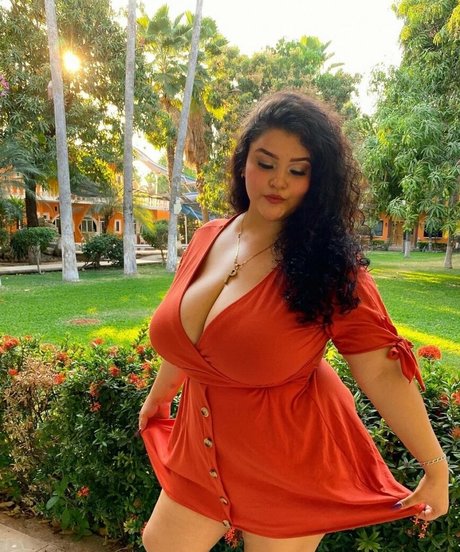 China Pocket modèle de haute qualité images