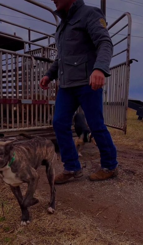 blonde naturelle onlyfans sexy érotique galerie