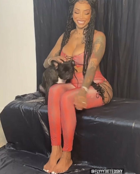 flyyytattedsky star du porno chaude archive